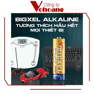Pin AA Alkaline BIGXEL LR06 - Vỉ 2 viên pin tiểu kiềm chống chảy