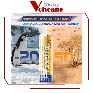 Pin AA Alkaline BIGXEL LR06 - Vỉ 2 viên pin tiểu kiềm chống chảy
