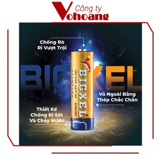 Pin AA Alkaline BIGXEL LR06 - Vỉ 2 viên pin tiểu kiềm chống chảy