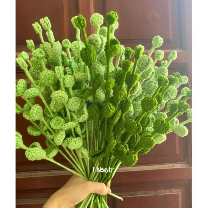Cành Lá Táo , Lá Hoa Bằng Len
