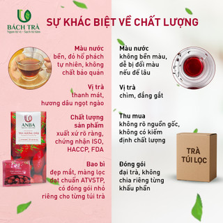 [TẶNG BÌNH] Trà Dâu Túi Lọc ANBA | Hương Dâu Ngọt Dịu – Thanh Lọc Mùa Hè | Giảm Căng Thẳng – Tăng Tập Trung | Hộp 25 Túi