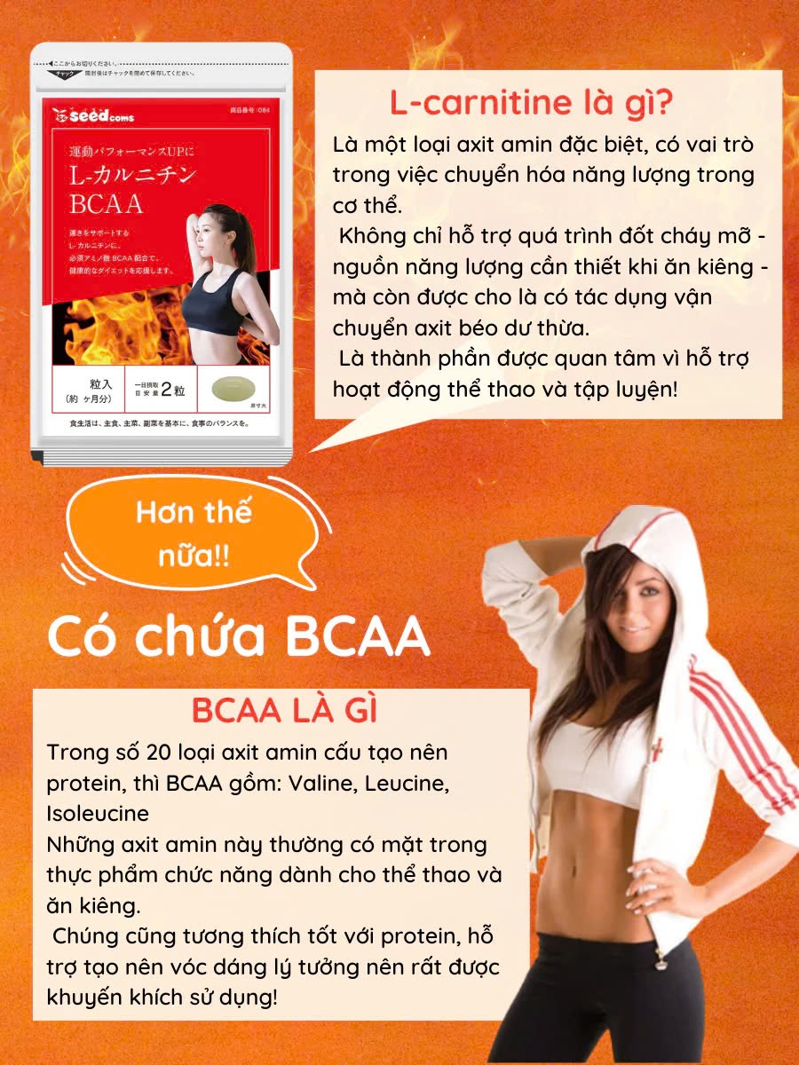 l carnitine gym Bổ Sung Đốt Mỡ L-Carnitine 3000 BioTechUSA main image 1