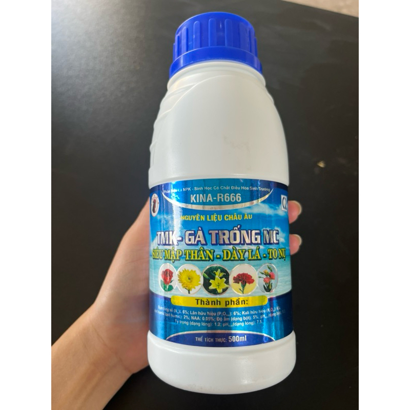 Gà Trống MC- Siêu Mập Thân-Dày Lá-To Nụ