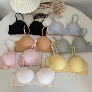 Combo 3 Áo ngực su mút dày không gọng Cao Cấp King Shop A-5277