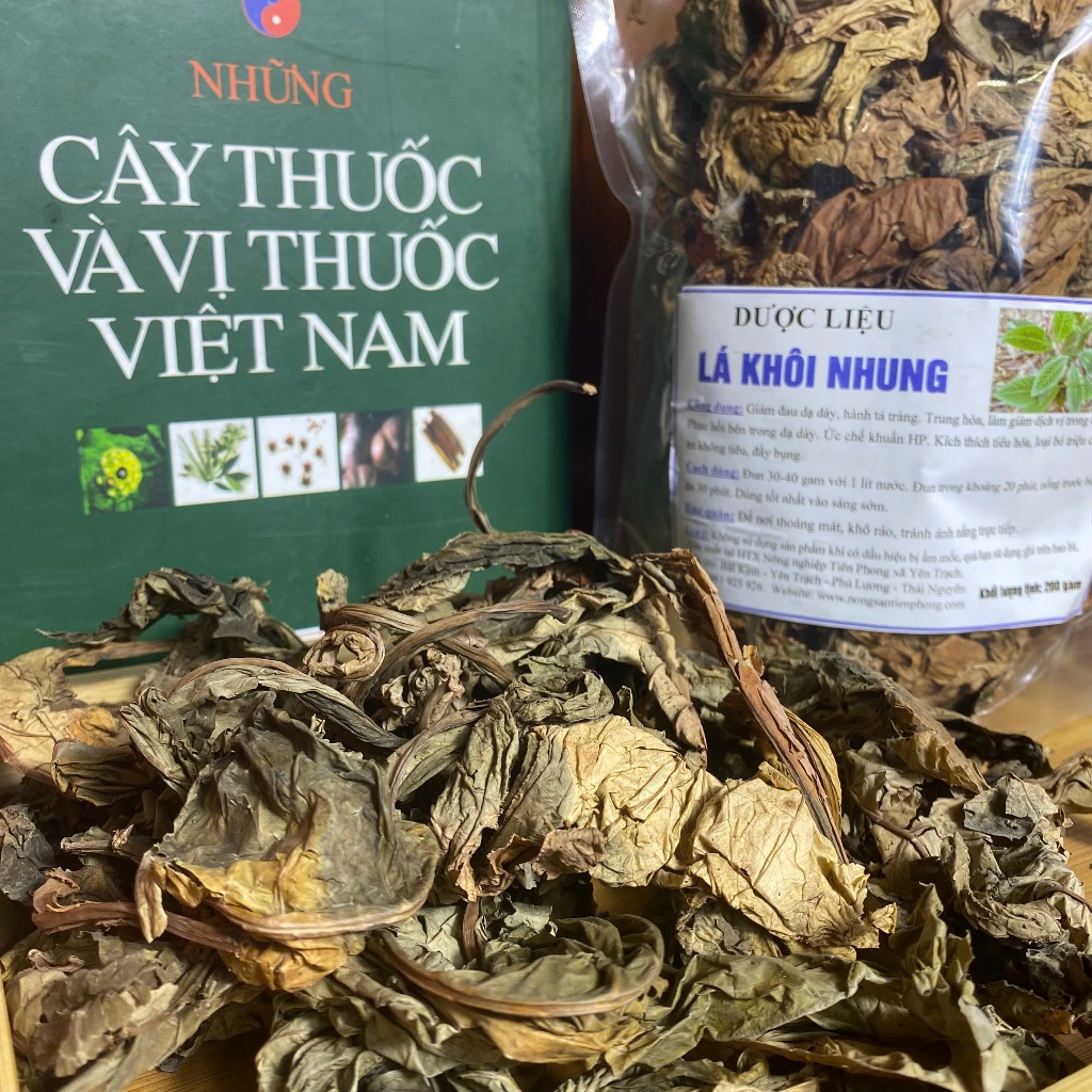 Lá Khôi tía rừng sấy khô - Khôi nhung rừng Hỗ trợ đau dạ dày, đại tràng, trào ngược, ngừa khuẩn H.p, hỗ trợ tiêu hóa
