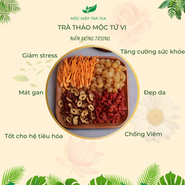 Trà thảo mộc nấm đông trùng tứ vị, gói lẻ trà 4 vị thảo mộc thiên nhiên, Mộc Diệp Trà Tea
