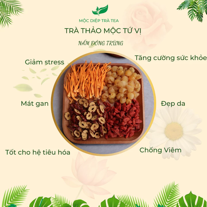Trà thảo mộc nấm đông trùng tứ vị, gói lẻ trà 4 vị thảo mộc thiên nhiên, Mộc Diệp Trà Tea