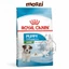 Thức ăn hạt Royal canin Mini Puppy Adult cho chó kích thước nhỏ