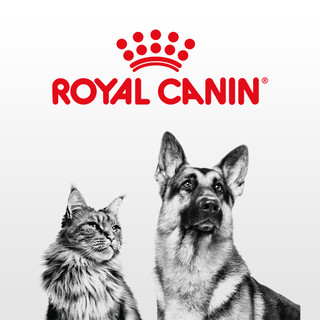 [1kg - 4kg] Thức ăn hạt Royal Canin Maxi Puppy Adult cho chó kích thước lớn