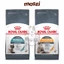 Thức ăn hạt Royal Canin Hair&Skin Care chăm sóc da lông cho mèo