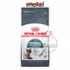 Thức ăn hạt Royal Canin Hairball Care tiêu búi lông cho mèo