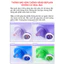 Kem Chống Nắng Thuần Chay Nâng Tone, Kiềm Dầu, Dưỡng Ẩm Beplain Sunmuse Sunscreen SPF50+/PA+++ 50ml ThegioiSKinfood