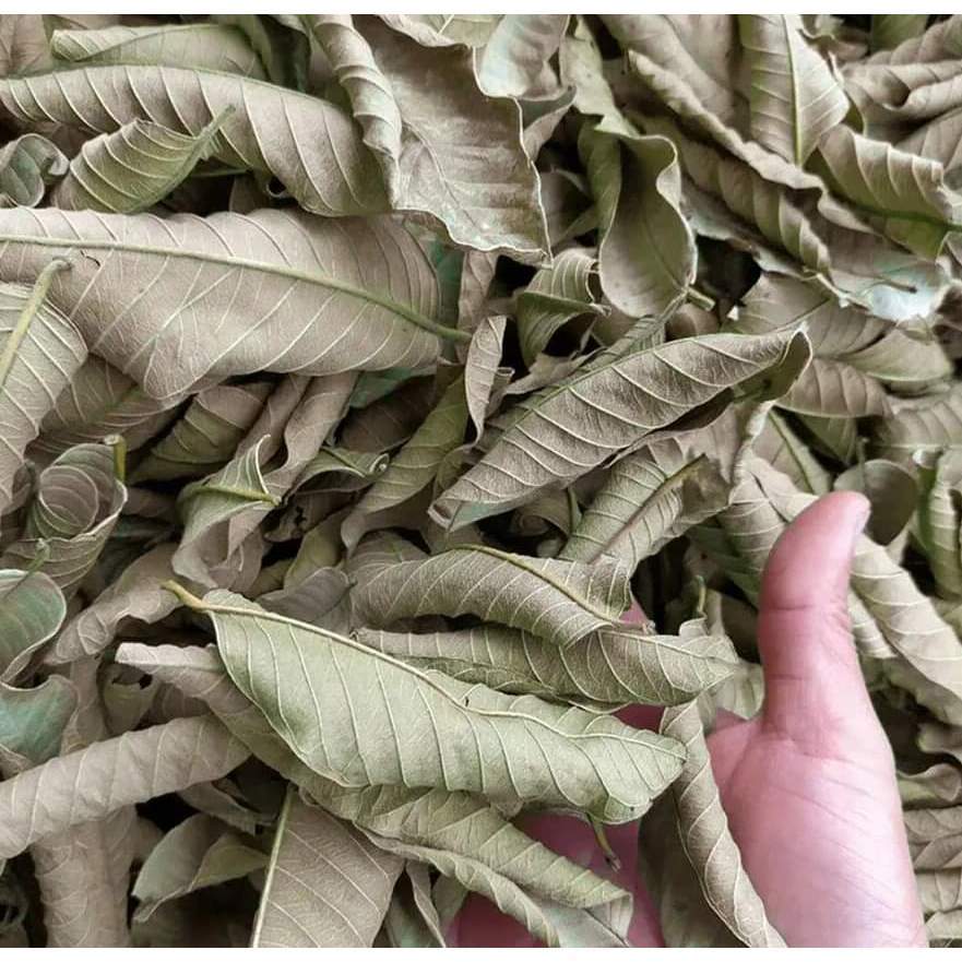Lá ổi khô thương hạng JINDO 1kg hỗ trợ sức khỏe