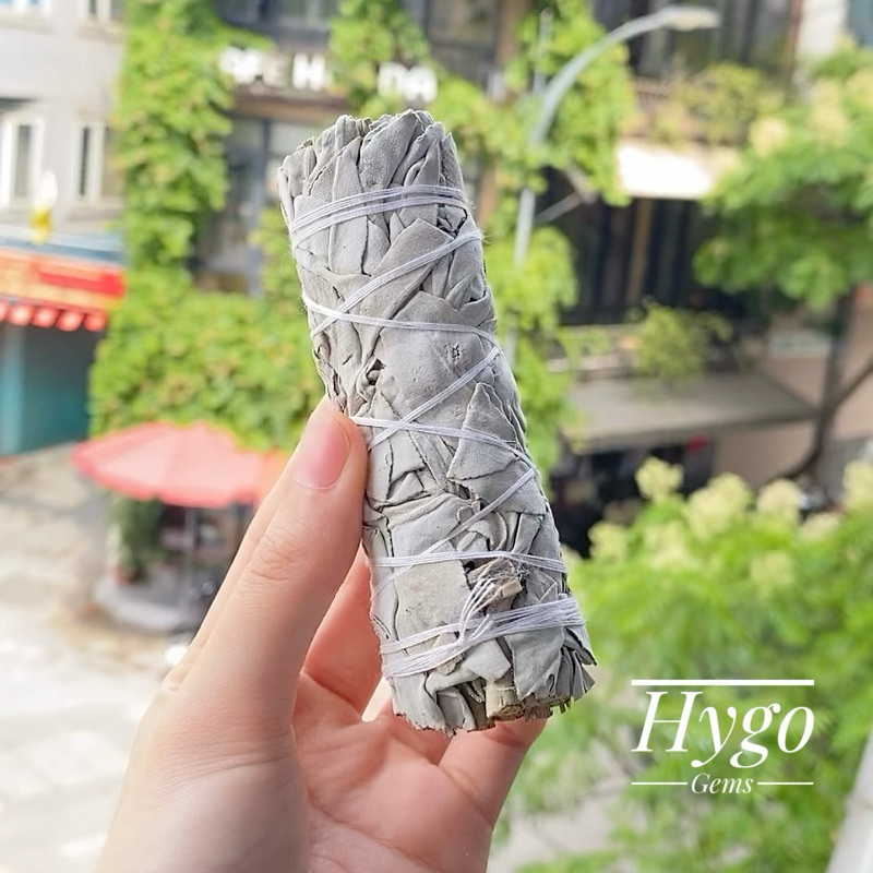 Xô thơm trắng - White Sage thanh tẩy năng lượng, thư giãn, tẩy uế không ...