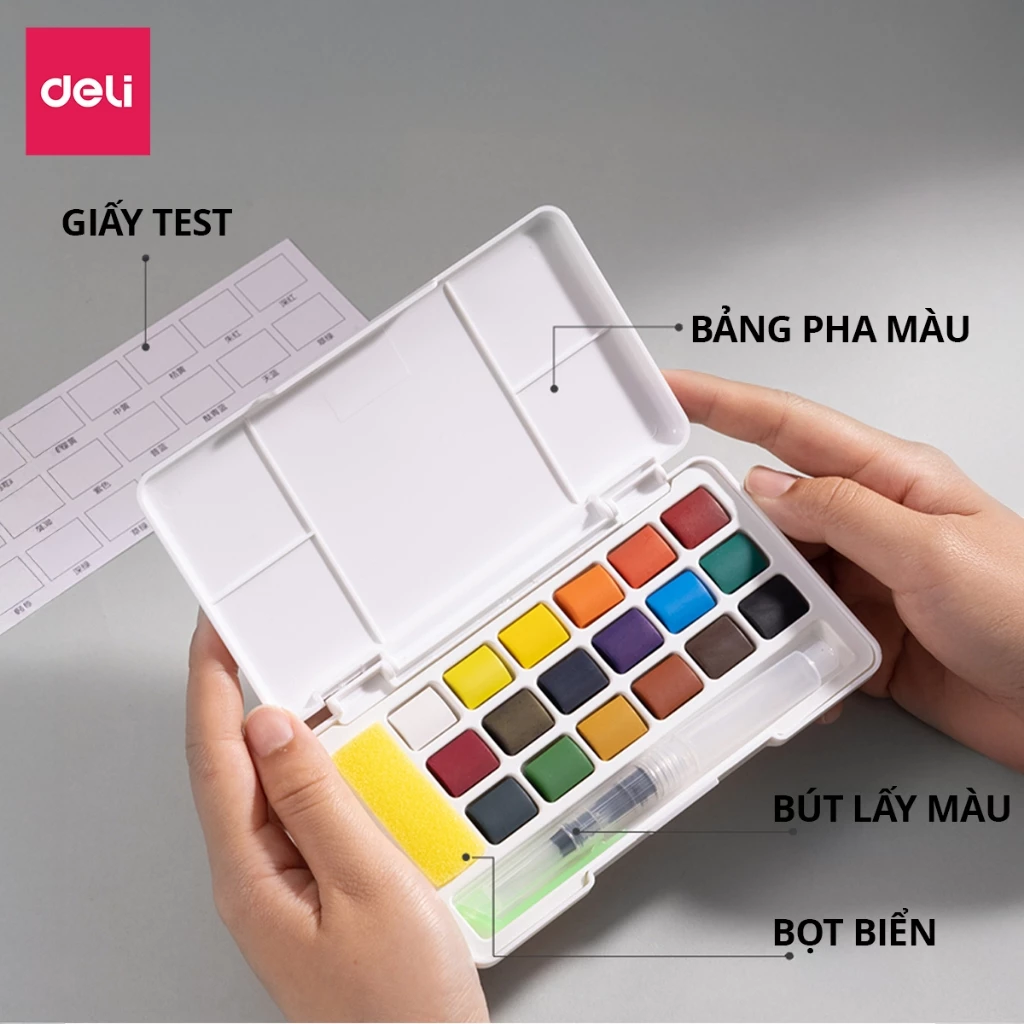 [HỌA CỤ DELI] Màu Nước Dạng Nén Dmast Solid Water Color 12/18/24/36 Màu Deli - Màu Nước Nén Mịn Loan