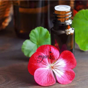 TINH DẦU PHONG LỮ (GERANIUM)