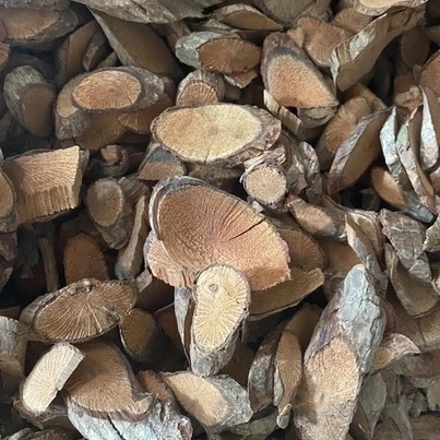Cây gối hạc khô thượng hạng Jindo 1kg, hỗ trợ xương khớp
