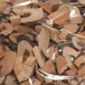 Cây gối hạc khô thượng hạng Jindo 1kg, hỗ trợ xương khớp