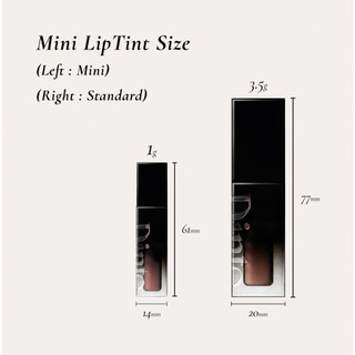Son tint bóng DINTO Blur Glowy Lip Tint