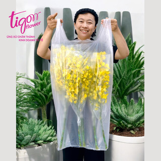 1KG TÚI NILONG ĐỰNG HOA CẮT CÀNH DÀI 75CM - ĐỰNG VỪA HẦU HẾT CÁC LOẠI HOA
