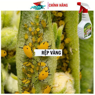 Chai Xịt Rệp Cho Cây Cảnh Thảo Mộc FATER 500ml Xịt Rệp Sáp, Rệp Xanh, Rệp Vàng Sinh Học Cho Cây Cảnh An Toàn, Hiệu Quả