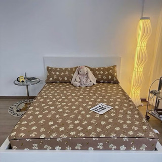 Bộ Ga Gối 3 món Cotton Đũi Dệt Bông Xơ Đậu Nành - Ga Gối Trần Bông Cotton Đũi