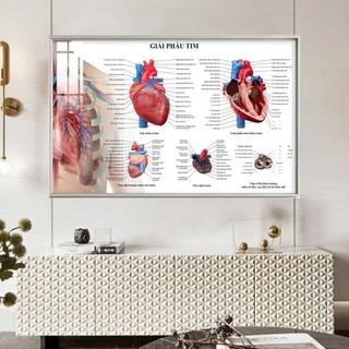 [Tranh Y Khoa] Tranh Tráng Gương Bo Viền Cao Cấp - Tranh Giải Phẫu Tim