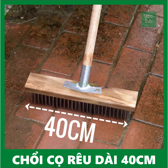 Chổi Sắt Cọ Rong Rêu Dài 40cm Tay Cầm Dài 115cm Sợi Thép Không Gỉ Chà ...