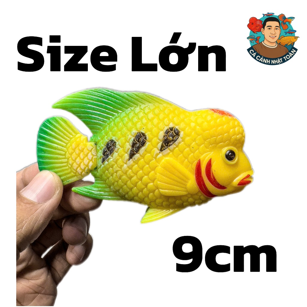 CÁ LA HÁN GIẢ LỚN LÀM CÁ KÈ CHO LA HÁN (MÀU NGẪU NHIÊN)