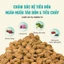 Hạt Cho Mèo Bite of Wild B45 Túi 1kg - Công Nghệ Nướng Chậm, Hàm Lượng Đạm Thô 45%