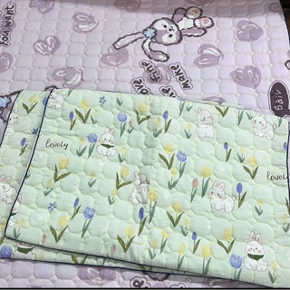 Vỏ Gối Trần Bông Cotton Đũi Sơ Đậu nành - mềm mát mịn và thấm hút mồ hôi