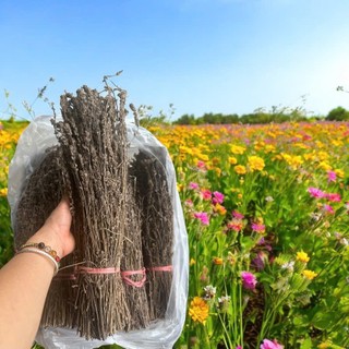 Nhân Trần Khô Nguyên Cây – Loại 1, Thơm Ngon, Không Chất Bảo Quản 1kg