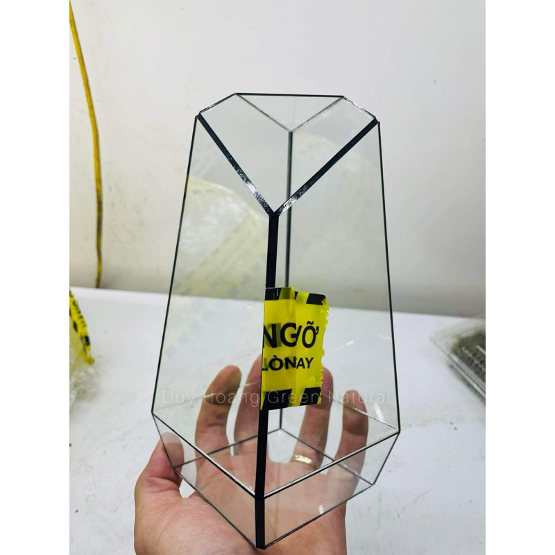 bể (bình kính ) setup terrarium mẫu cơ bản size mini