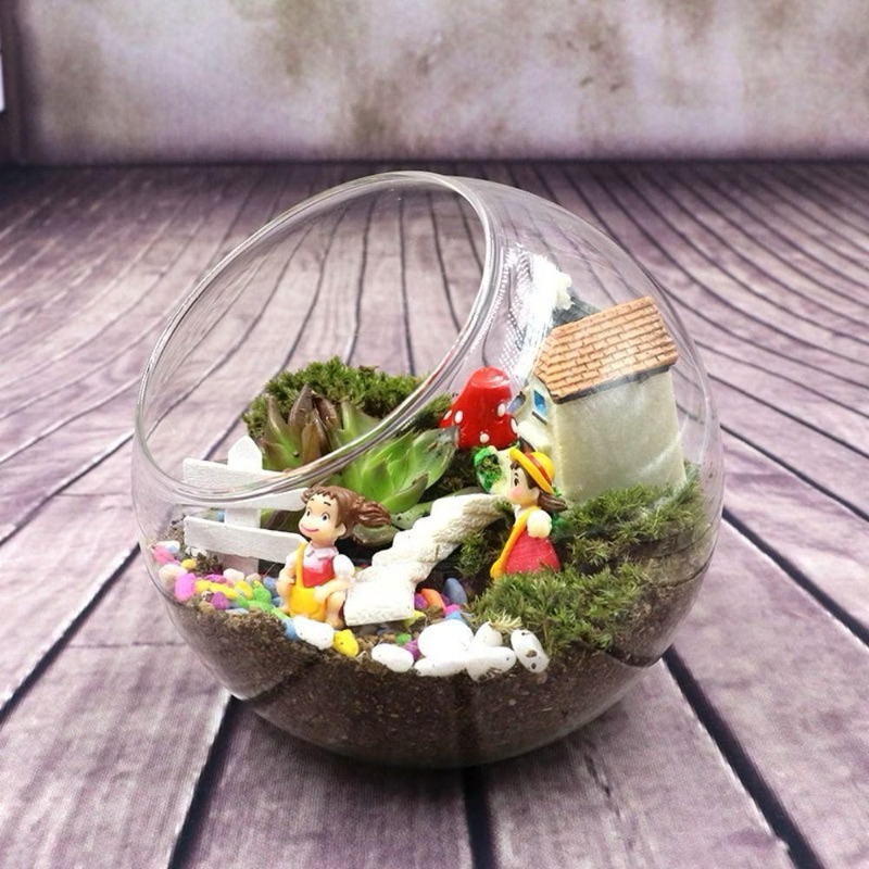 bình tròn thuỷ tinh setup tiểu cảnh,terrarium