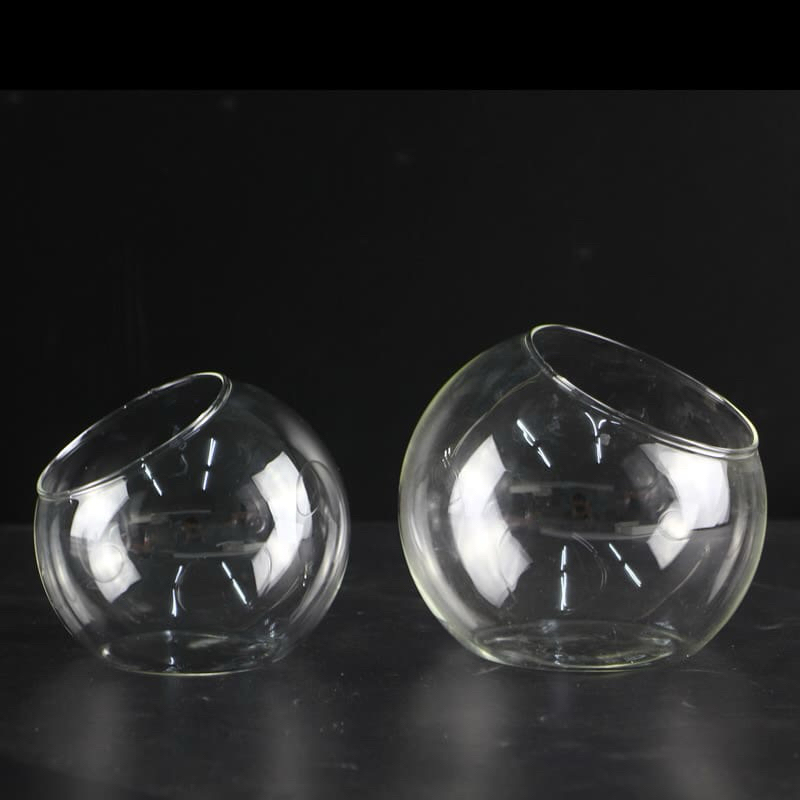 bình tròn thuỷ tinh setup tiểu cảnh,terrarium