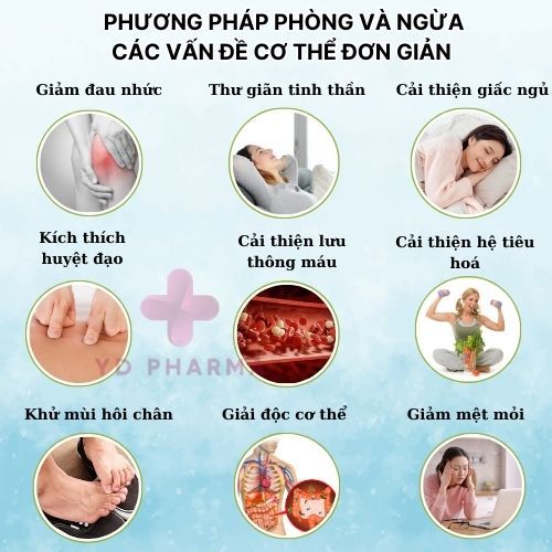 Chất lượng Miếng Dán Tiêu Chuẩn