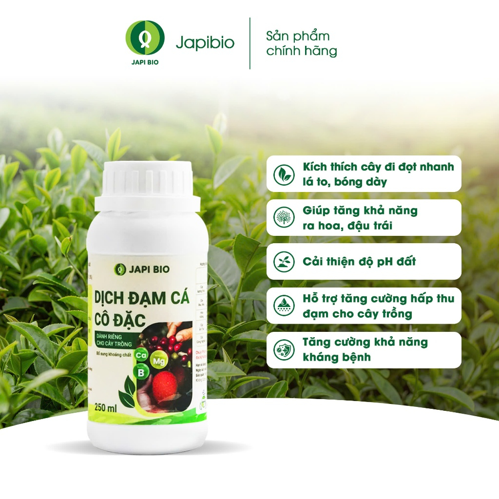 Đạm cá hữu cơ JapiBio 250ml – Không mùi kích rễ bật chồi dưỡng lá dày đậu trái dùng cho rau màu, hoa kiểng, cây ăn quả
