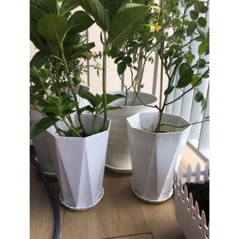 Chậu nhựa kim cương 30x26 cm loại 1 dày, bóng, chậu đủ size