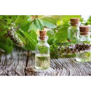 TINH DẦU HƯƠNG NHU (GRATISSIMUM) 50mL 100mL