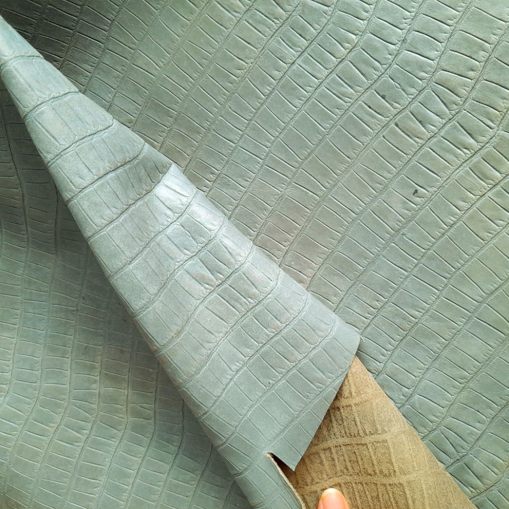 Cá sấu blue phấn
