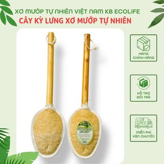 Cây Kỳ Lưng Xơ Mướp KB Ecolife (Cán gỗ tròn)Làm Sạch Sâu Tẩy Da Chết, Không Chất Tẩy Trắng Độc Hại