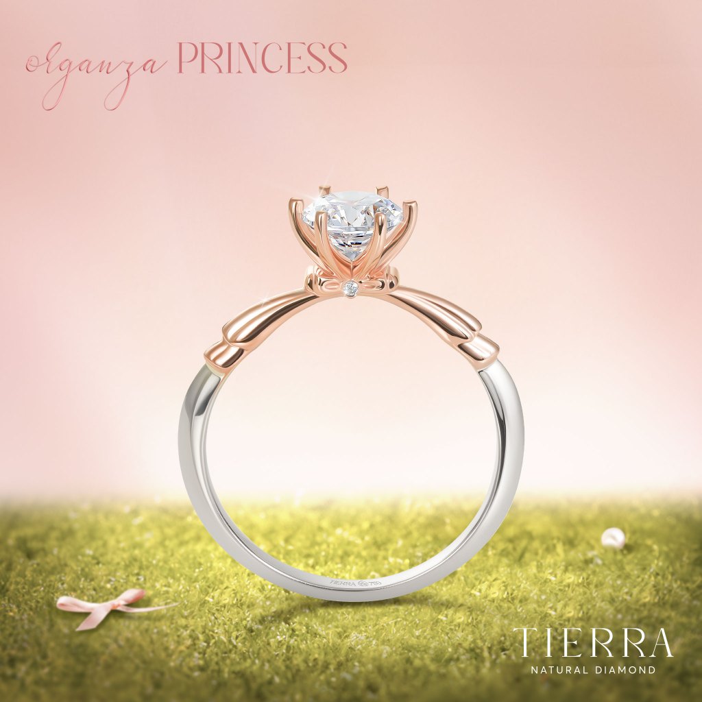 [CHAT TRƯỚC KHI ĐẶT] Nhẫn Cầu Hôn TIerra Organza Princess NCH1319 Vàng 14K 18K Tấm CZ / KC Nhẫn Hẹn Ước Dành Cho Cặp Đôi
