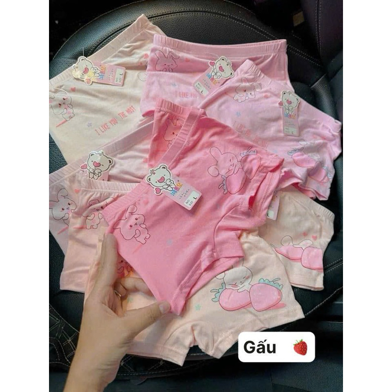 Set 10 quần chip đùi cho bé 10-30kg