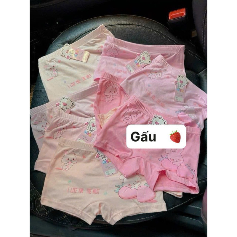 Set 10 quần chip đùi cho bé 10-30kg