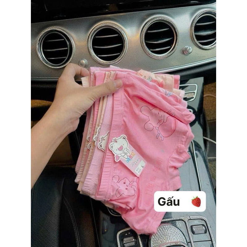 Set 10 quần chip đùi cho bé 10-30kg