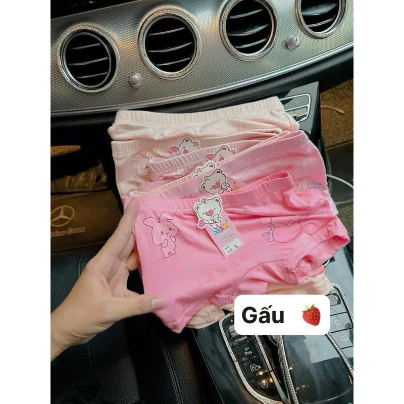 Set 10 quần chip đùi cho bé 10-30kg