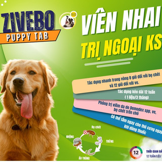 Hộp 1 Viên nhai vị thịt cho chó trị ve, bọ chét, ghẻ, nấm da ký sinh trùng ZIVEBO PUPPY TAB VbPharma