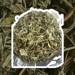 Cỏ Ngọt Khô Loại 1 – 100g | Lá Nguyên Cành, Tự Nhiên 100%, Thơm Ngọt Tự Nhiên, Pha Trà – Nấu Nước – Làm Thảo Dược