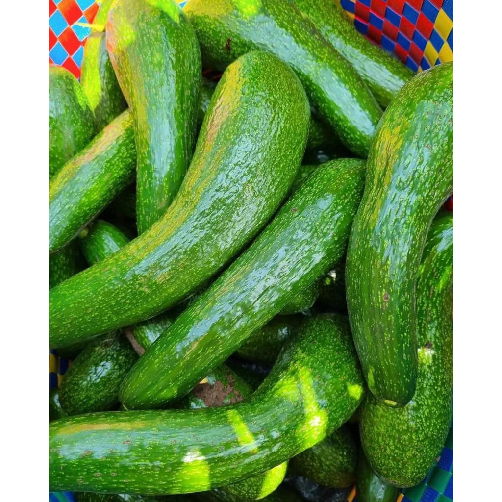 Bơ Nữ Hoàng 034 Đắk Lắk Dẻo Béo Thơm Ngậy, Bơ Sáp Vàng Không Xơ Chỉ (2-3 trái/kg)