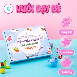 Flashcard tập 3 ( chủ đề động vật 4 chân , các loài chim, trái cây) 40 thẻ + bìa hộp